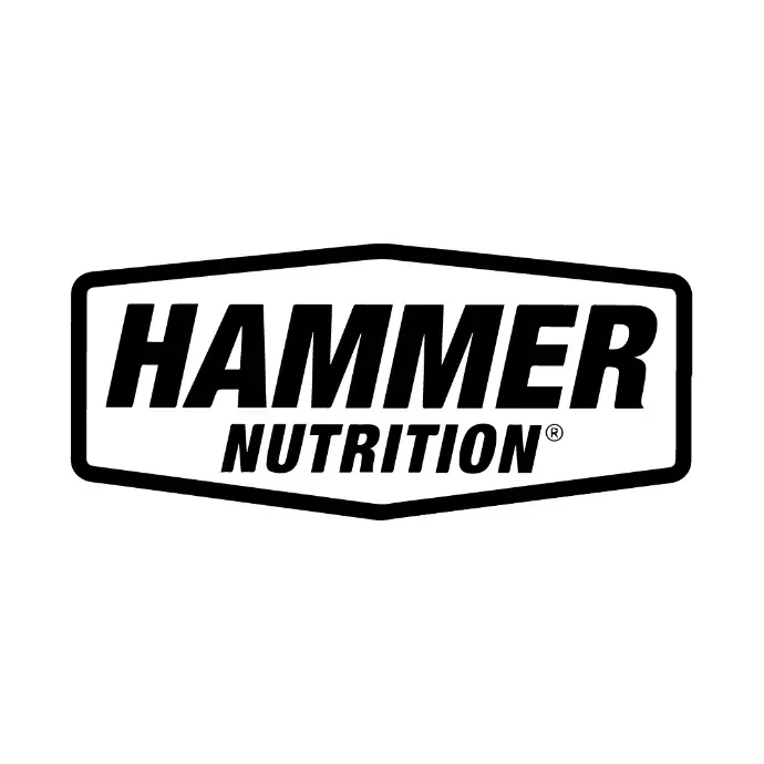 LOGO-HAMMER-UX