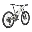 BICICLETA SPZ STUMJUMPER EVO EXPERT BRCH/TPE
