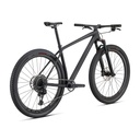 BICICLETA SPZ EPIC HT EXPERT CARBON 29 CARB/TARBLK