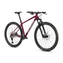 BICICLETA SPZ CHISEL RSBRY/WHT