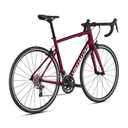 BICICLETA SPZ ALLEZ E5 RSBRY/METWHTSIL USADO