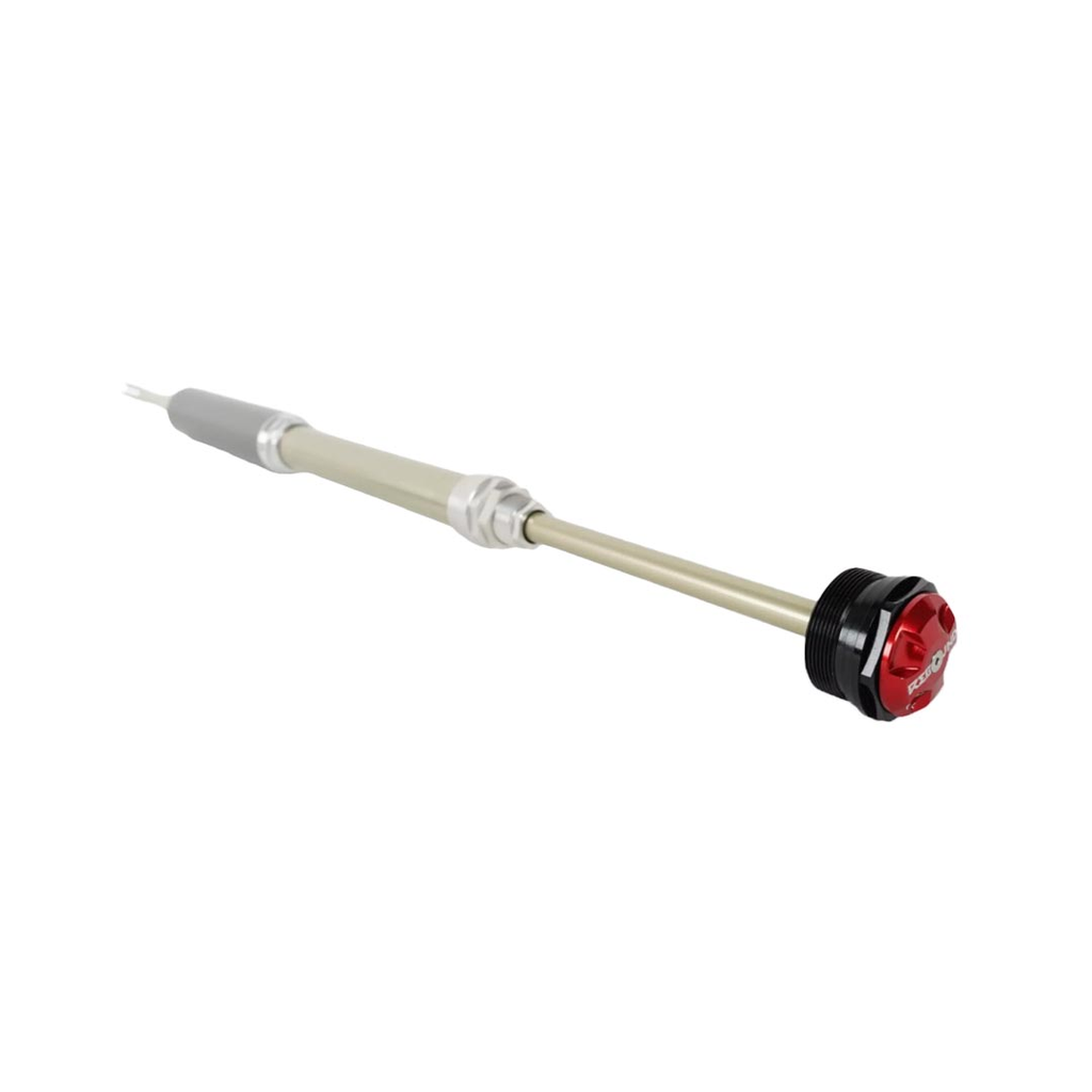 SUSPENSION SPZ MY19 EPIC FORK SERVICE,BRAIN CARTRIDGE 