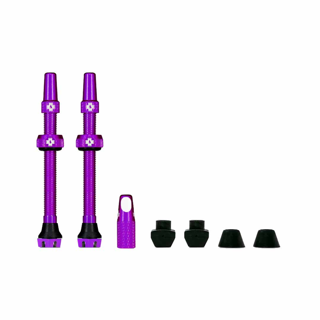 VALVULA MUC-OFF VALVE TUBELESS KIT 60MM PPL