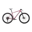 BICICLETA SPZ EPIC HT CARBON 29 DSTLLC/SUMBLU