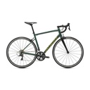 BICICLETA SPZ ALLEZ E5 SPORT PNGRN/METGLD/CARB