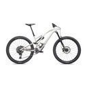 BICICLETA SPZ STUMPJUMPER EVO EXPERT BRCH/TPE