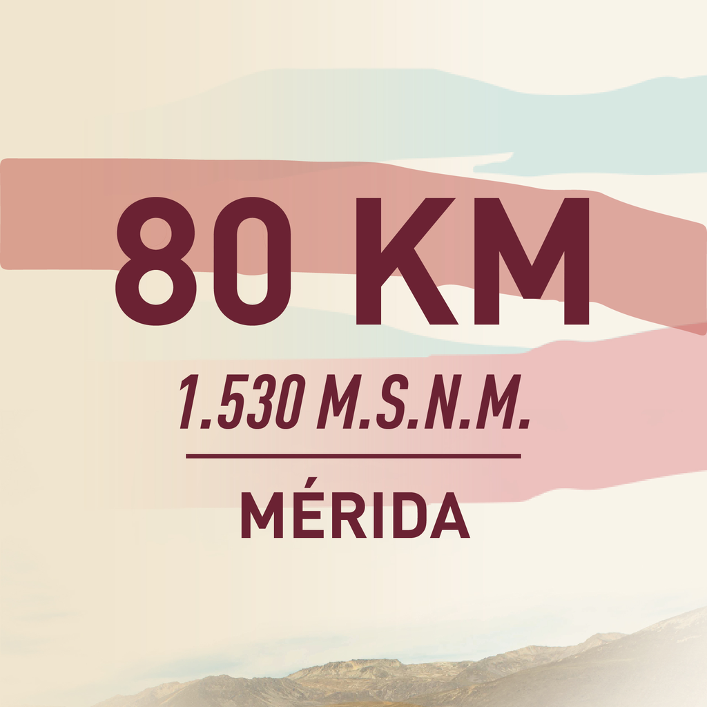 3RA PREVENTA 80KM GFCDC 2025